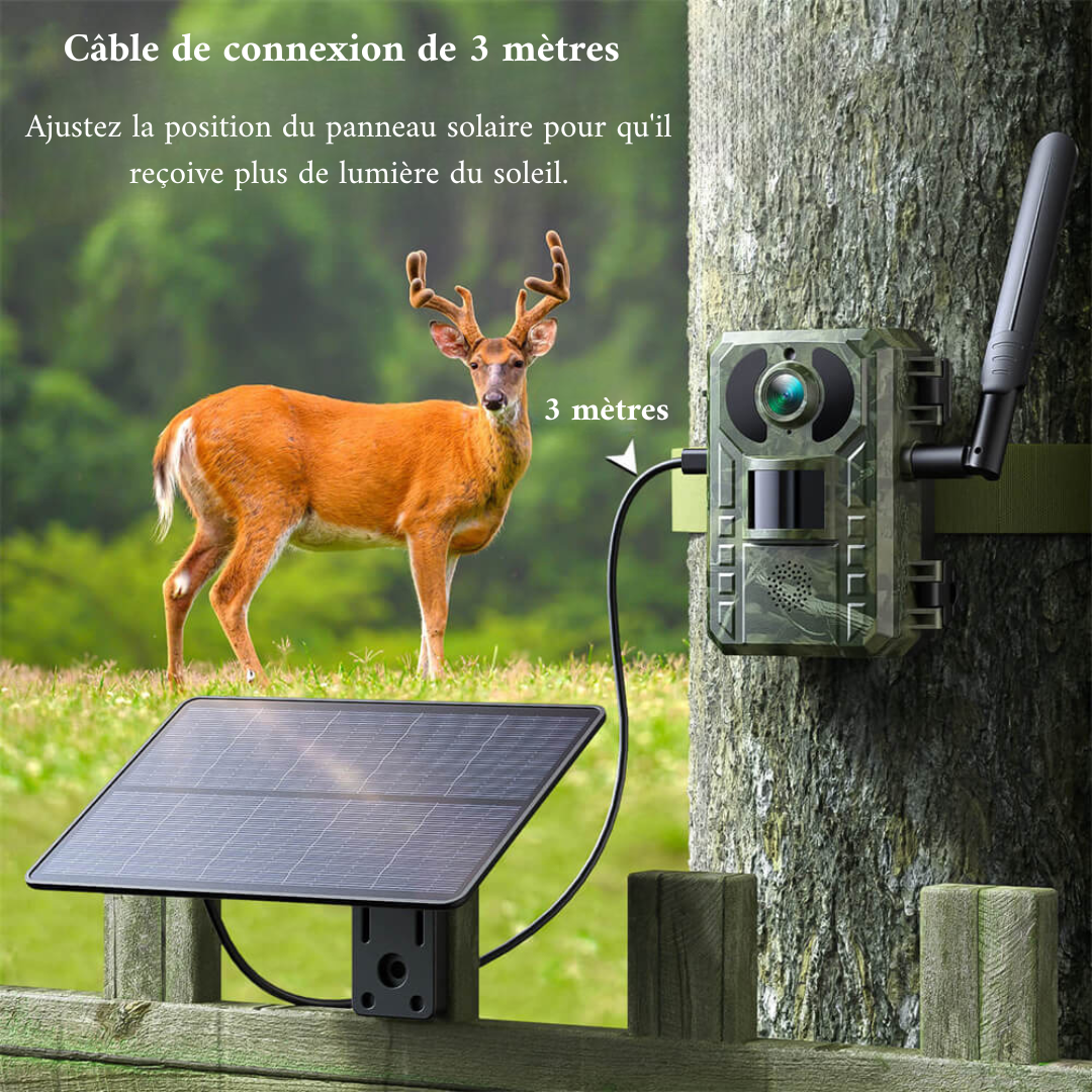 Caméra d'observation Naturecams TC25 2.7K 4G avec diffusion en direct, panneau solaire et vision nocturne sans lueur