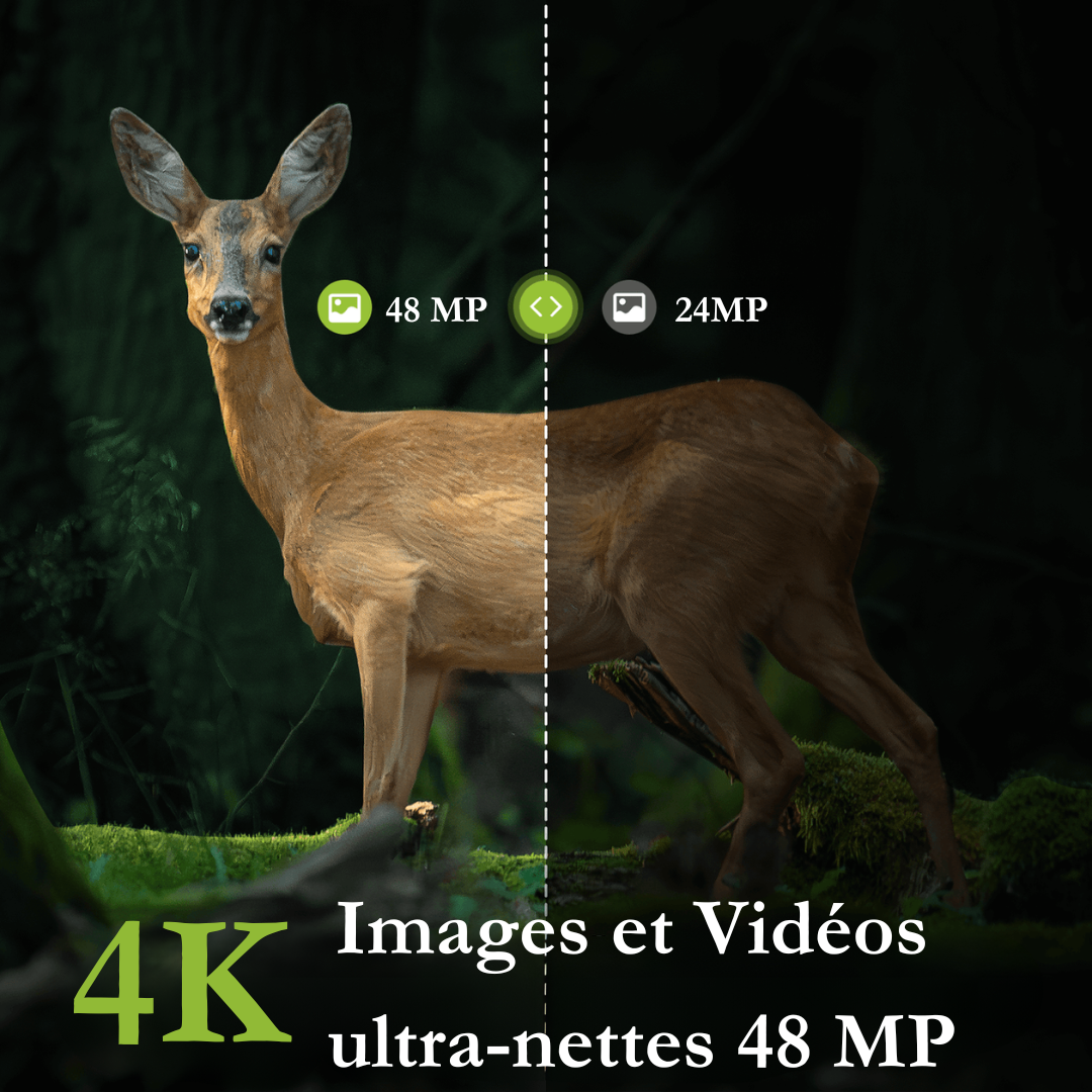 Caméra de surveillance standard Naturecams TC30 4K (sans WiFi)