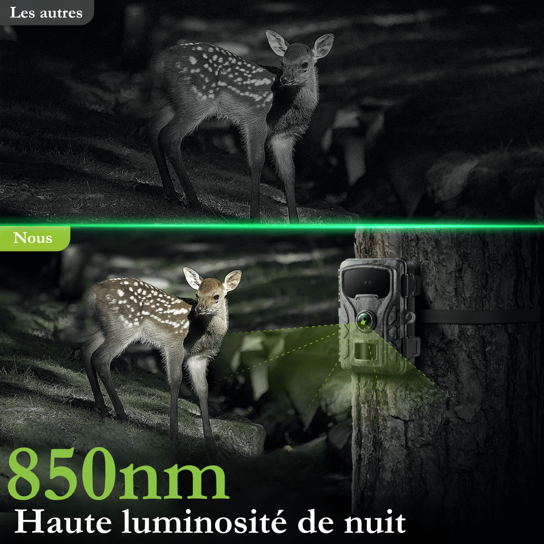 Caméra de surveillance standard Naturecams TC30 4K (sans WiFi)