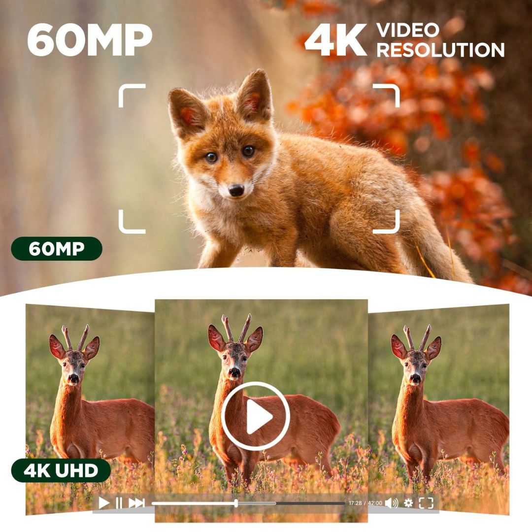 Caméra de surveillance Naturecams 4K HD Wi-Fi à double objectif, alimentée par énergie solaire, pour la chasse aux cerfs