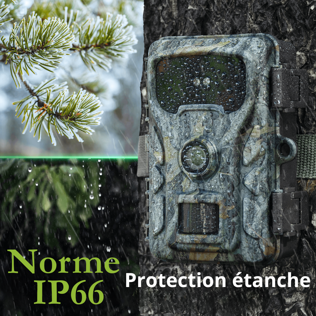 Caméra de surveillance standard Naturecams TC30 4K (sans WiFi)
