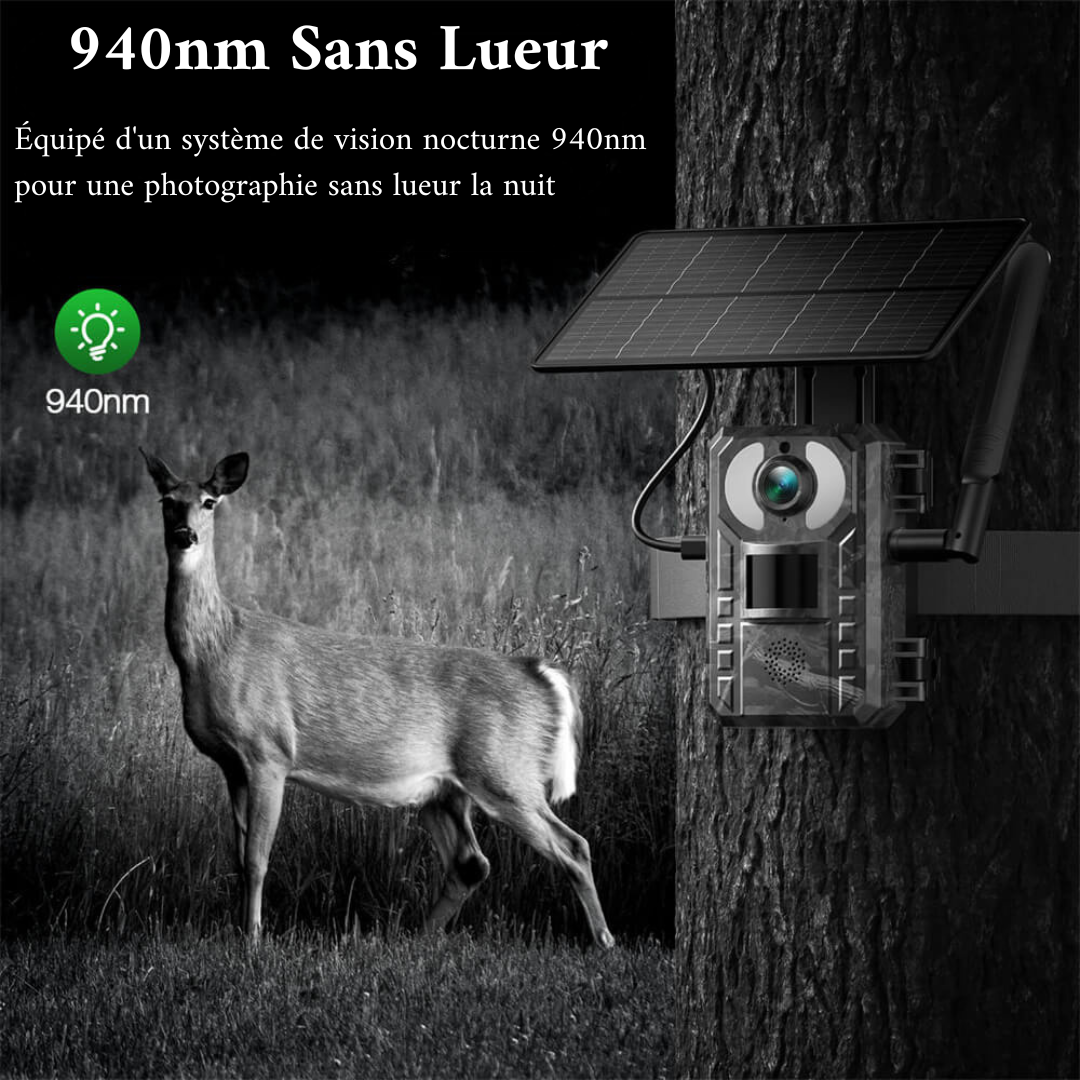 Caméra d'observation Naturecams TC25 2.7K 4G avec diffusion en direct, panneau solaire et vision nocturne sans lueur