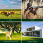 Caméra de surveillance Naturecams 4K HD Wi-Fi à double objectif, alimentée par énergie solaire, pour la chasse aux cerfs